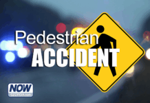 Woman struck by SUV that swerved to avoid dogs