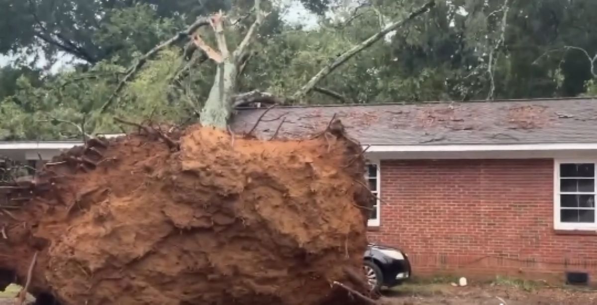 Severe storm leaves thousands without power in Columbus