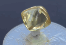 Arkansas gem hunter says he found what may be a $1 million diamond