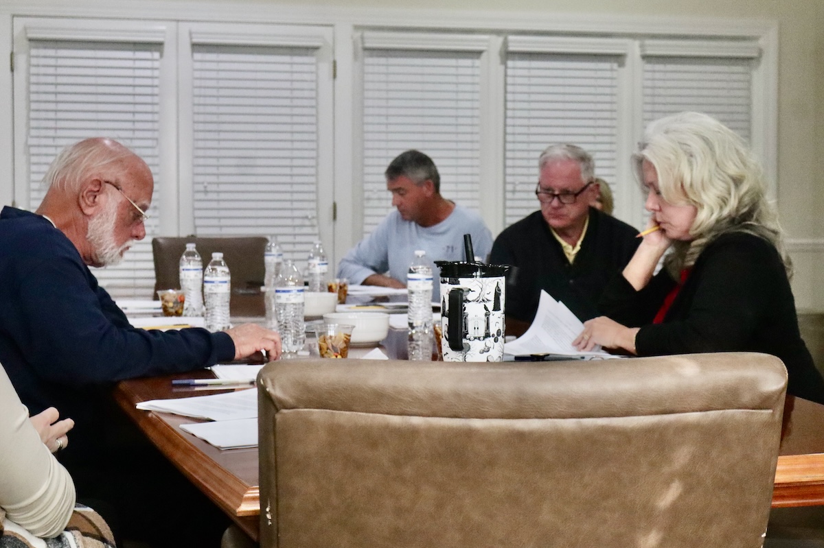 Clarkesville delays animal control agreement, prepares for millage vote - Now Georgia