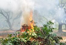 Columbus man sentenced to probation after burning 108 acres