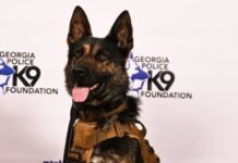 PETA asks Columbus Police to end use of K9 officers