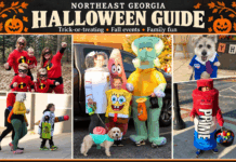 Northeast Georgia’s Halloween and fall fun guide