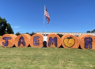 Now Georgia Photo of the Day