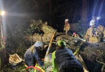 Hundreds of thousands without power after Isaias slams the Florida Panhandle and Alabama