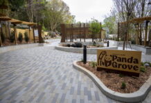 Zoo Atlanta’s giant panda habitat opens to public in November