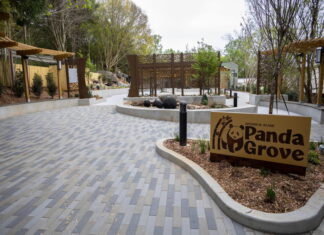 Zoo Atlanta’s giant panda habitat opens to public in November